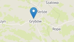Umiejscowienie szkoły w mieście