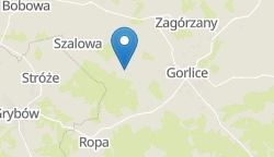 Umiejscowienie szkoły w mieście