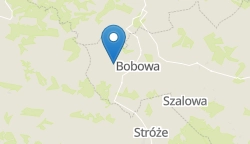 Umiejscowienie szkoły w mieście