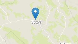 Umiejscowienie szkoły w mieście