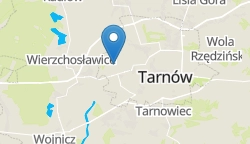 Umiejscowienie szkoły w mieście