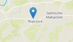 Umiejscowienie szkoły w mieście