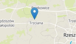 Umiejscowienie szkoły w mieście