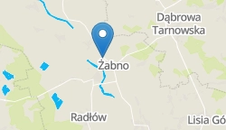 Umiejscowienie szkoły w mieście