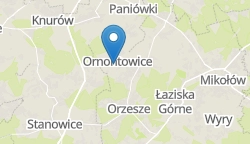 Umiejscowienie szkoły w mieście
