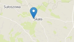 Umiejscowienie szkoły w mieście