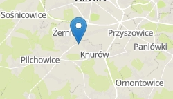 Umiejscowienie szkoły w mieście