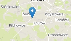 Umiejscowienie szkoły w mieście