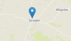 Umiejscowienie szkoły w mieście
