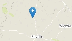 Umiejscowienie szkoły w mieście