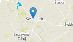 Umiejscowienie szkoły w mieście