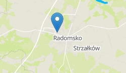 Umiejscowienie szkoły w mieście