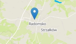 Umiejscowienie szkoły w mieście