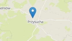Umiejscowienie szkoły w mieście