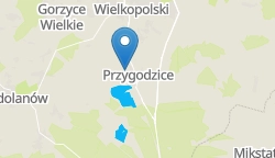 Umiejscowienie szkoły w mieście