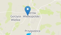 Umiejscowienie szkoły w mieście