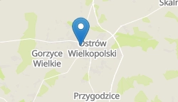 Umiejscowienie szkoły w mieście