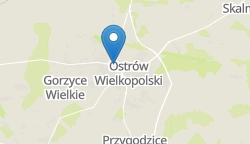 Umiejscowienie szkoły w mieście