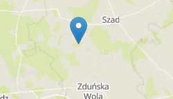 Umiejscowienie szkoły w mieście
