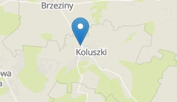 Umiejscowienie szkoły w mieście