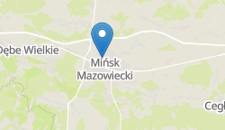 Umiejscowienie szkoły w mieście