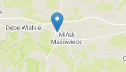 Umiejscowienie szkoły w mieście