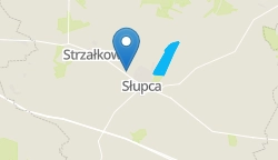Umiejscowienie szkoły w mieście