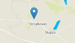 Umiejscowienie szkoły w mieście