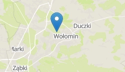 Umiejscowienie szkoły w mieście