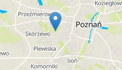 Umiejscowienie szkoły w mieście