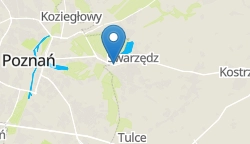 Umiejscowienie szkoły w mieście