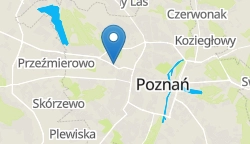 Umiejscowienie szkoły w mieście