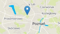 Umiejscowienie szkoły w mieście