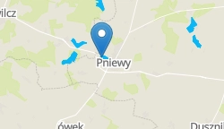 Umiejscowienie szkoły w mieście