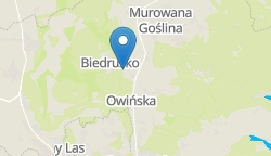 Umiejscowienie szkoły w mieście