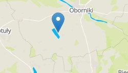 Umiejscowienie szkoły w mieście