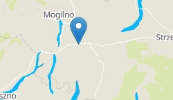 Umiejscowienie szkoły w mieście