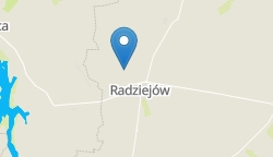 Umiejscowienie szkoły w mieście