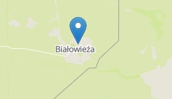 Umiejscowienie szkoły w mieście