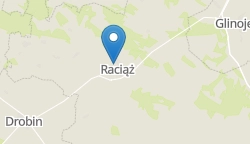 Umiejscowienie szkoły w mieście