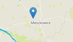 Umiejscowienie szkoły w mieście