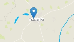 Umiejscowienie szkoły w mieście