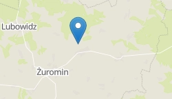 Umiejscowienie szkoły w mieście